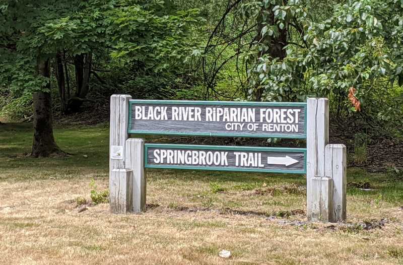 Black River Riparian Forest and Start of the Springbrook Trail