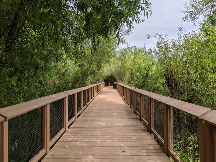 Springbrook Trail Boardwalk